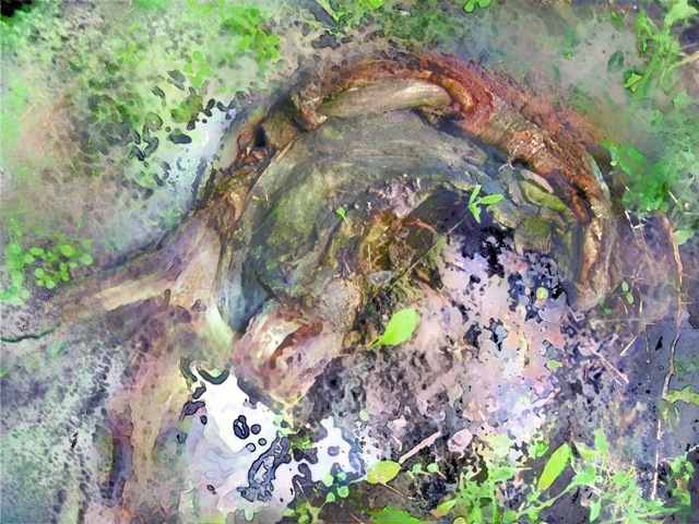 photo painting of the derelict, abstract art